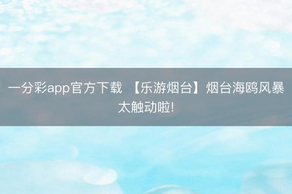 一分彩app官方下载 【乐游烟台】烟台海鸥风暴太触动啦!