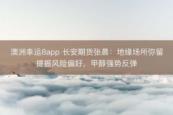 澳洲幸运8app 长安期货张晨：地缘场所弥留提振风险偏好，甲醇强势反弹